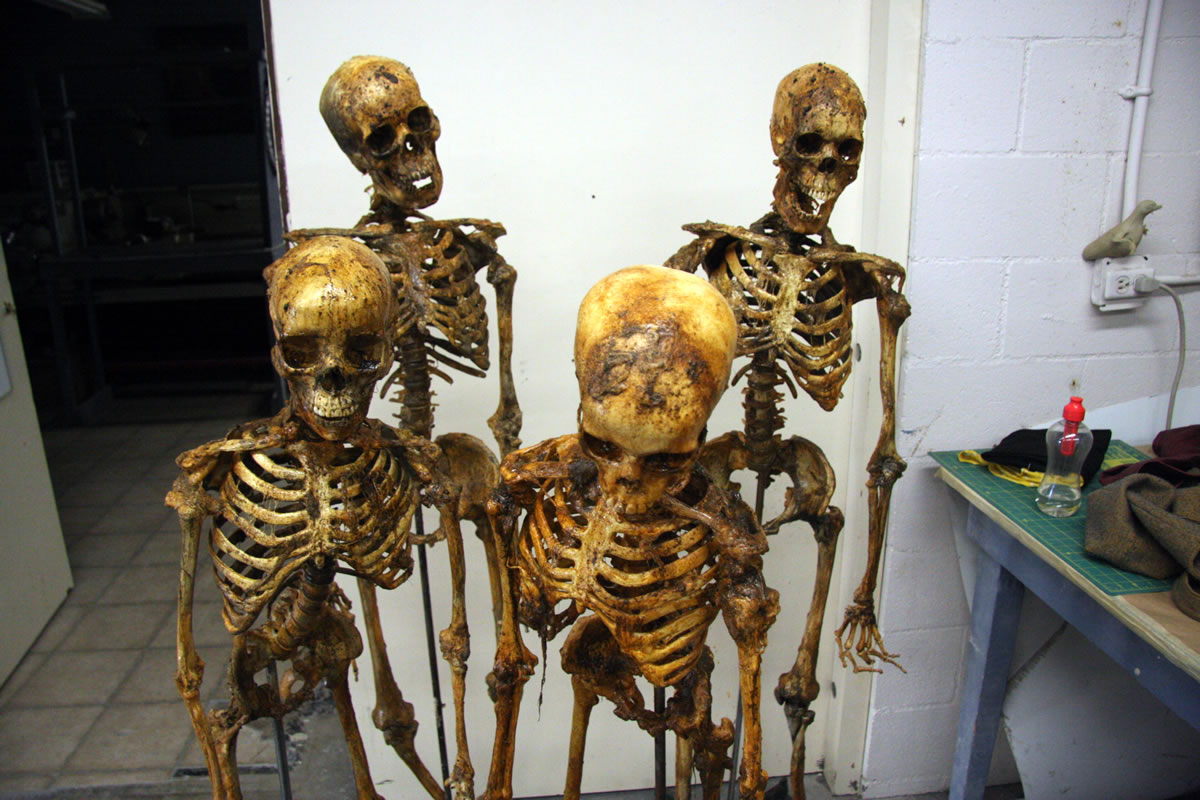 Skeletons created for the series 'Rizzoli and Isles'